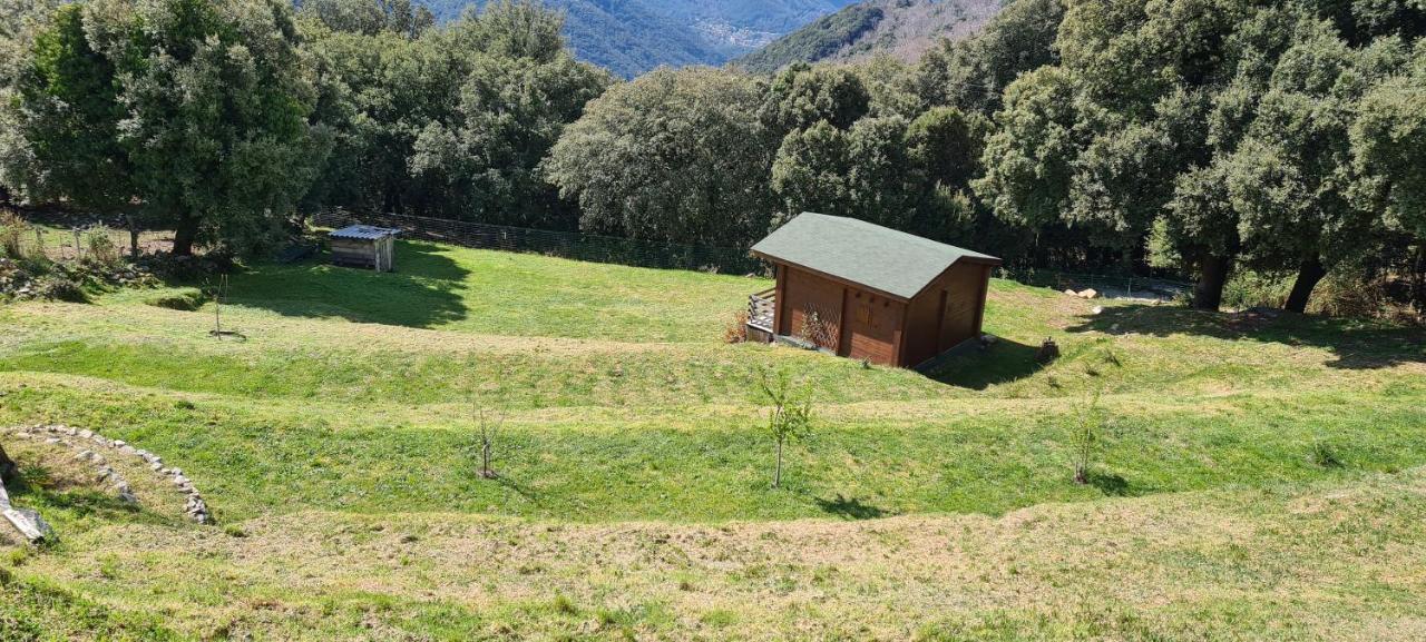 Casa Sarrinca Hotell Serra-di-Scopamene Exteriör bild